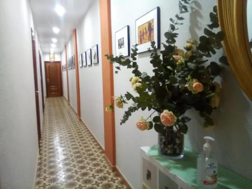Las Golondrinas Zaragoza Saragossa Exterior foto